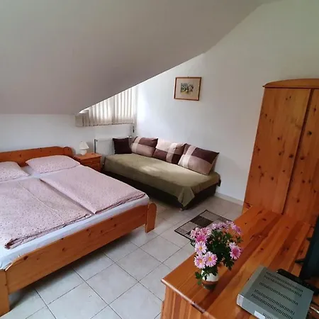 Hotel Borkuti Panzio Es Balatonszárszó