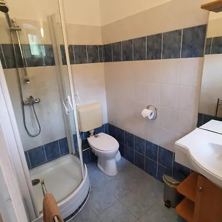 Hotel Borkuti Panzio Es Balatonszárszó