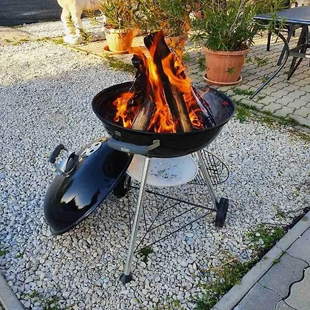 Hotel Borkuti Panzio Es *