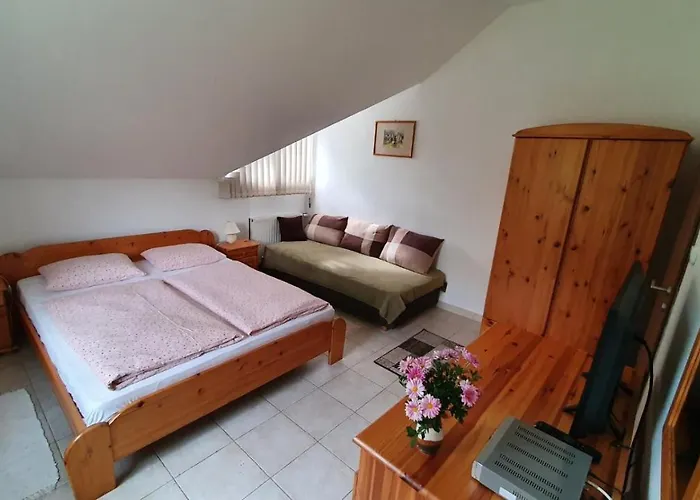 Hotell Borkuti Panzio Es Balatonszárszó