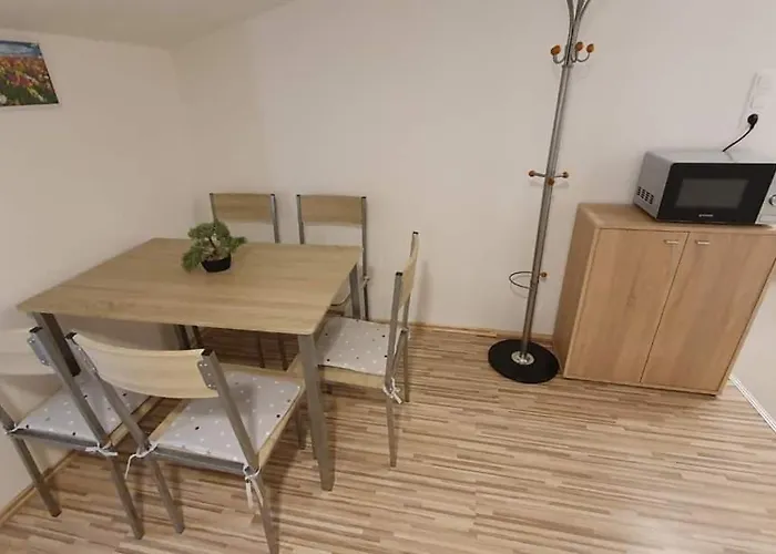 Borkuti Panzio Es Hotell *